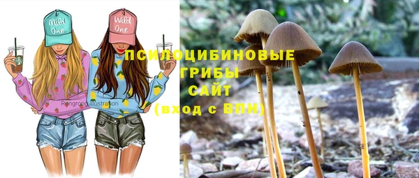 прущий лед Балабаново